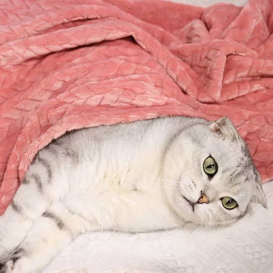 犬と猫用のプレミアム暖かいぬいぐるみ複数サイズのペットブランケット